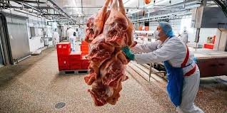 Emil Färber GmbH & Co KG