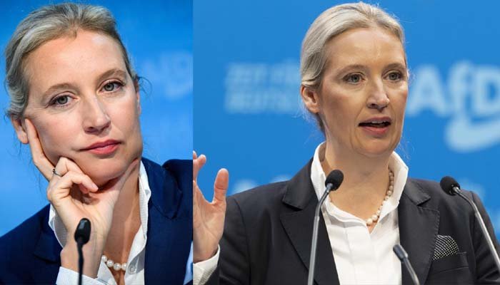 alice-weidel-ohr-prothese